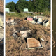 Imagen para el artículo titulado Alguien ha matado a medio millón de abejas en Texas. La policía ofrece recompensa para encontrar a los culpables
